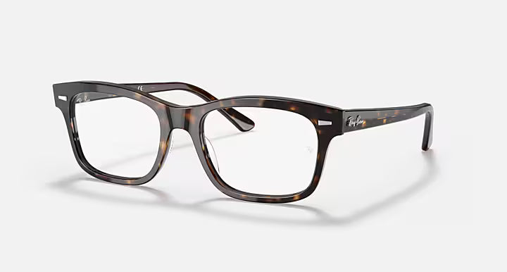 RAY-BAN RB5383 MR BURBANK