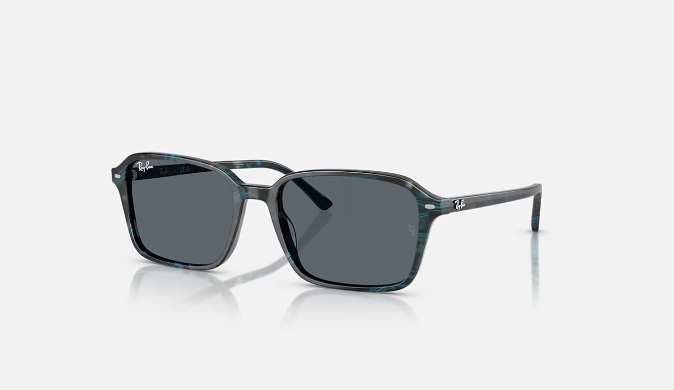RAY-BAN RB2231